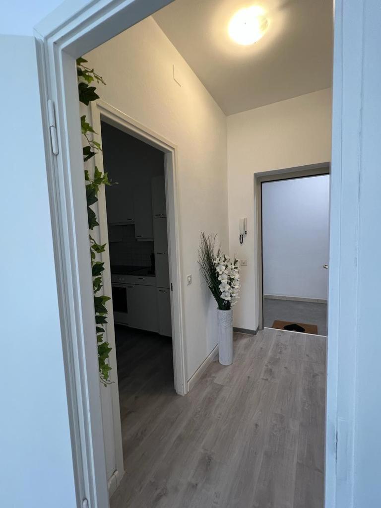 B&B Ilien Bellinzona Eksteriør bilde